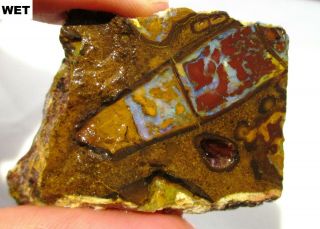 Great 38 Gram Koroit Boulder Opal Rough Slab - Australia