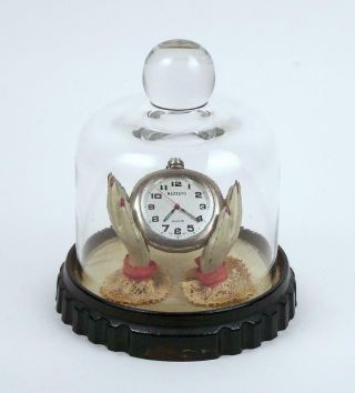 Antique Ladies Pocket Watch Holder Glass Dome Display Case Painted Hands
