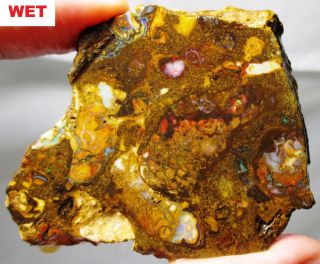 Great 66 Gram Koroit Boulder Opal Rough Slab - Australia