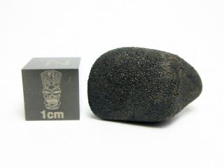 Aguas Zarcas Cm2 3.  32g Individual From Costa Rica Fall Of Carbonaceous Chondrite