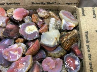 Z Swali / Swazi Rose Agate Rough fr Mozambique,  Africa 43 Lbs 2