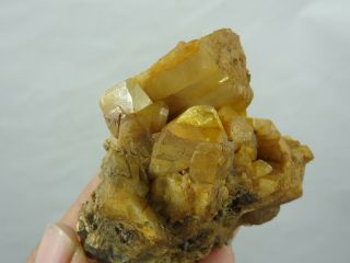 Rare Yellow Euclase Cluster From China
