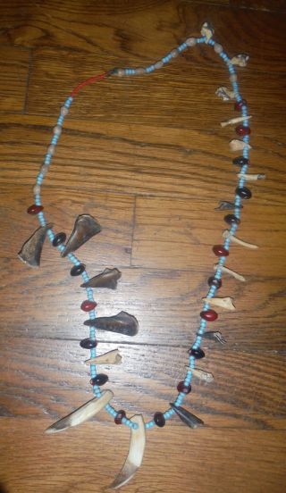 Urarina Peru Amazon Indian Bead,  Claw And Teeth Necklace
