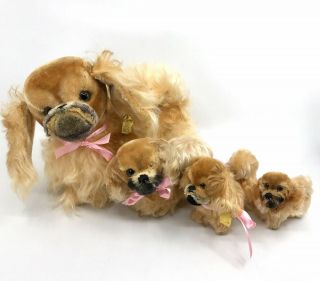 Steiff Peky Pekinese Dog Family 4 All Sizes Mohair Plush 2 Id Buttons Tags 1960s