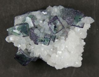 Fluorite On Quartz – Yanganxian Mine,  Hunan,  China Ex Ellis