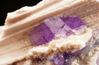 CLASSIC Purple Fluorapatite Crystal PULSIFER QUARRY,  MAINE 3