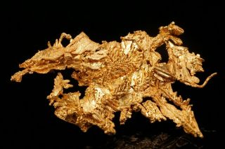 EXTRAORDINARY Native Gold Crystal Cluster EAGLE ' S NEST MINE,  CALIFORNIA 2