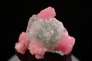 Rhodochrosite & Fluorite Crystal Cluster Sunnyside Mines,  Colorado