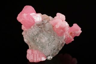 Rhodochrosite & Fluorite Crystal Cluster SUNNYSIDE MINES,  COLORADO 2