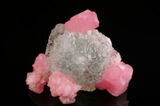 Rhodochrosite & Fluorite Crystal Cluster SUNNYSIDE MINES,  COLORADO 3