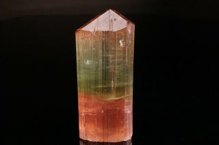 Multicolor Tourmaline Crystal Himalaya Mine,  California