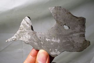 Gibeon Meteorite Endcut - 92 Grams - Iron Meteorite Namibia