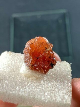 Spessartine Garnet Crystal: Rutherford No.  3 pegmatite.  Amelia Co. ,  Virginia 2