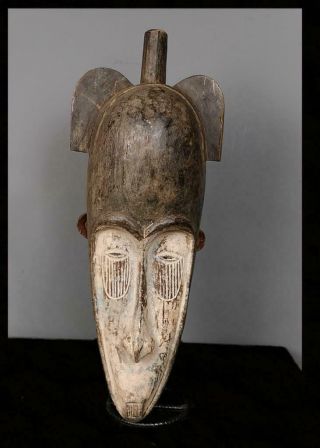 Old Tribal Large Fang Ngil Mask - - Gabon