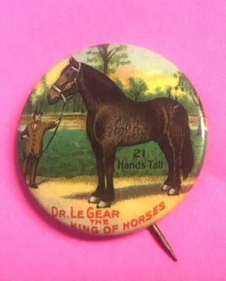 1.  25 " Pinback,  The Famous Dr.  Le Gear Giant Horse,  1911,  Near,  Deep Color