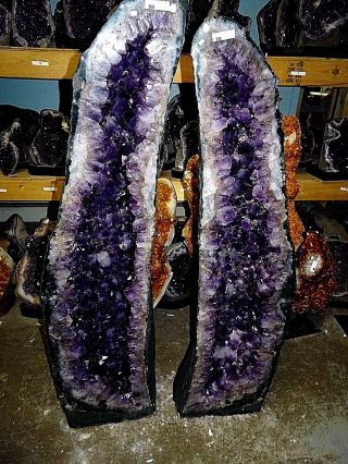 43.  5 In.  Amethyst Crystal Cluster Cathedral Geode Pair Museum Grade Lg.  Crystals