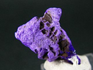 Crystalized Sugilite Crystal On Matrix From South Africa - 1.  1 "