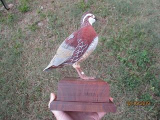 1992 Quail Unlimited Bobwhite Sculpture With Band Plaque Signed Ducks