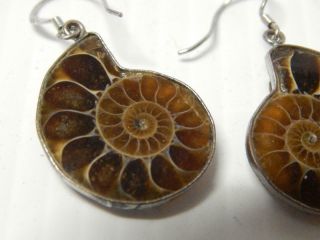 Fossil Ammolite Antique Vintage Mexican Sterling Silver Earrings Mexico