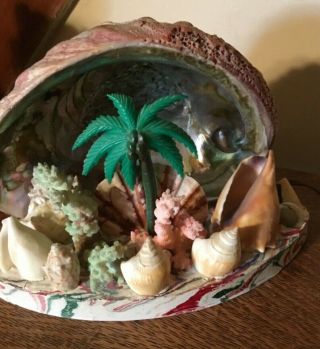 Large Vtg Mid - Century Red Abalone Sea Shell,  Palm,  Coral,  Conch,  Kitsch Tv Lamp