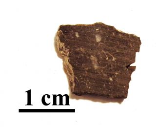 Rare Nwa 6355 Lunar,  Feldspathic Breccia,  Slice,  0.  59 Grams