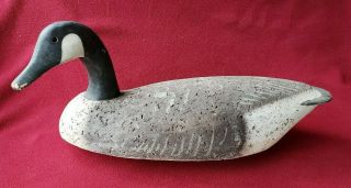 Vintage Life Size Cork & Wood Canadian Goose Hunting Decoy