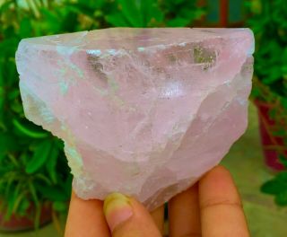 1608 C.  T Top Class Damage Terminated Pink Color Morganite Crystal 3
