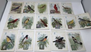 Singer Sewing Machine Cards American Song Birds Complete Set Of 16 1920s 1930s
