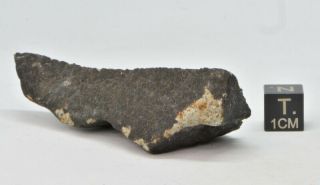 Meteorite Ghdamis Libya Fall Aug.  26,  2018 Chondrite L5 Or 6 Weight 38.  98 Ep