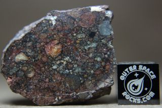 Nwa 10699 Ll (l) 3 Primitive Chondrite Meteorite 7.  6 Gram Part Slice