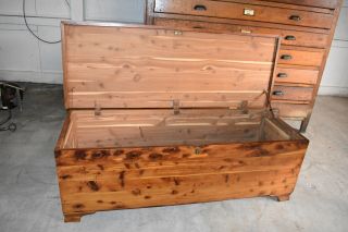 Vintage Federal Equipment Rustic Solid Red Cedar Trunk Chest Antique Furniture