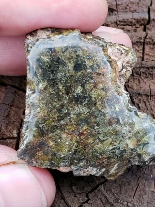 Stunning,  Polished,  35.  4g Nwa 7831,  Diogenite Meteorite End Cut Hed