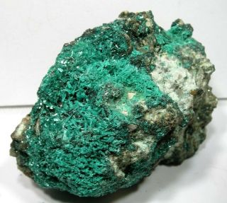 Rare Botallackite: Cligga Mine,  Cligga Head,  Cornwall,  England,  Uk - Nr