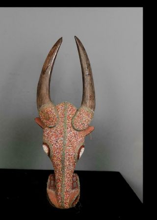Outstanding Tribal Large Bamileke Beaded Bull Mask - - Cameroon Bn 7
