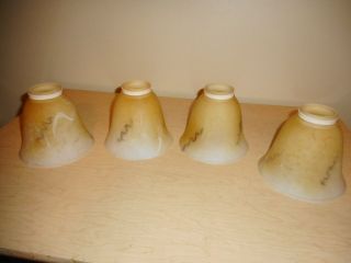 Cappuccino Colored Antique Looking Glass Lamp Shades - 2 1/4 Inch Fitter