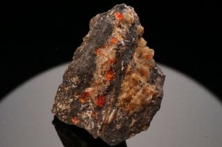 Very Rare Manganbrucite & Zincite Crystal Franklin,  Jersey - Ex.  Elling