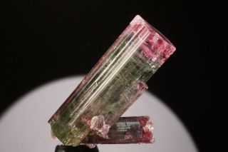 UNIQUE BI - COLOR Tourmaline Crystal with Lepidolite CRUZEIRO MINE,  BRAZIL 3