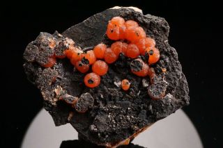 EXTRAORDINARY Botryoidal Rhodochrosite Crystal SEQUOIA PIT,  NEVADA - Ex.  Jensen 3