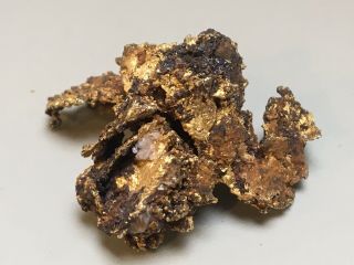 Crystalized Gold Nugget Specimen w/ Quartz Crystals 16.  8 g 2