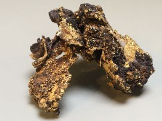 Crystalized Gold Nugget Specimen w/ Quartz Crystals 16.  8 g 3