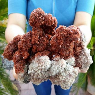 Very Fine World Class 6 3/4 Inch Bi Color Aragonite Crystal Cluster
