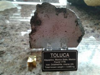 Toluca Iron Meteorite - 161.  4 Grams,  Iab - Sll Coarse Octahedrite Specimen - Large
