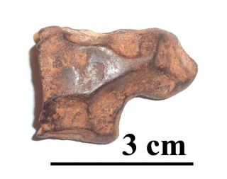 Plessitic Iron Meteorite Nwa 859 Taza,  Morocco,  Individual,  35.  2 Grams