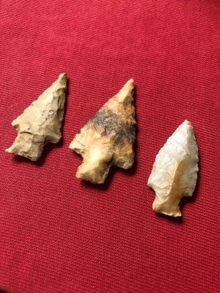 Authentic Group Of Stemmed Arrowheads From Lawrence County,  Tn.  2” 2 - 1/2” Long.