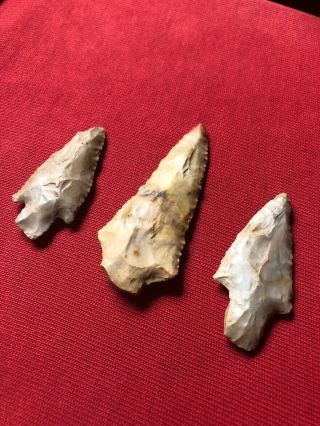 Authentic Group Of Stemmed Arrowheads From Lawrence County,  Tn.  2 - 1/16” 3” Long.