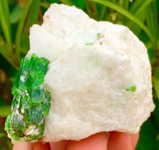 Wow 700 Carats Rare Unique Top Green Color Pargasite Ablite Specimen