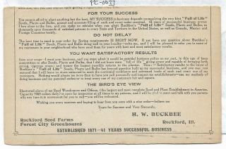Vintage Postcard / Advertising H.  W.  Buckbee - Seed Farm Rockford Greenhouses 33 2