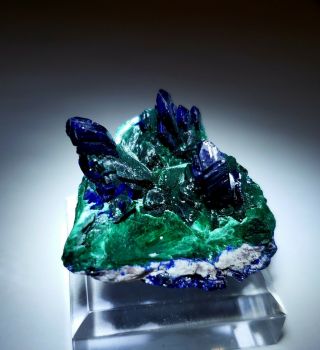 Stunning - Blue Azurite Ps Green Malachite Crystals,  Milpillas Mine Mexico