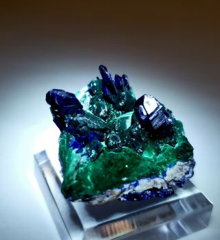 STUNNING - Blue Azurite ps Green Malachite crystals,  Milpillas mine Mexico 2