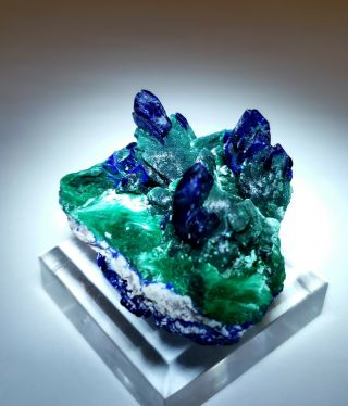 STUNNING - Blue Azurite ps Green Malachite crystals,  Milpillas mine Mexico 3
